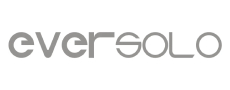 Eversolo Logo