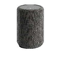 Audio Pro A10 MkII Wireless Multiroom-Speaker, dark grey (checked return) 